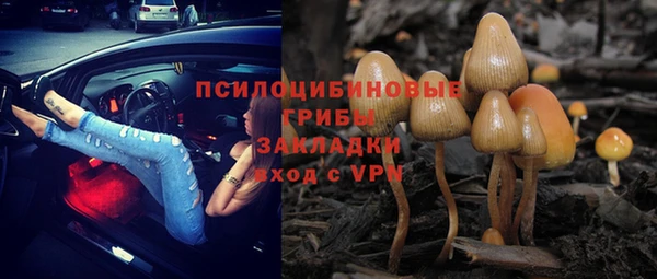 синтетический гашиш Алексин