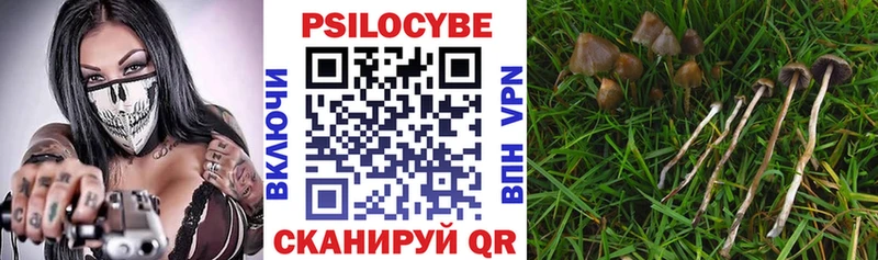 ссылка на мегу tor  дарк нет Telegram  Галлюциногенные грибы мицелий  Чаплыгин 